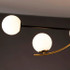 Signature Ceiling Light -THE BATTLE OF THE CLANS