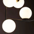 Signature Ceiling Light -THE BATTLE OF THE CLANS