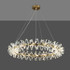 Signature Chandelier Light -LA LA SPARKLE -A