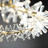 Signature Chandelier Light -LA LA SPARKLE -B