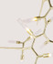 Signature Chandelier Light -THE MASCOT OF MARVEL-B