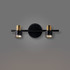 Signature Mirror Light -PICTURE PERFECT -B