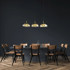 Signature Pendant Light - THE ASTEROID RAY