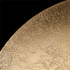 Signature Wall Light -THE ACCLAIM