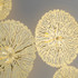 Signature Wall Light -THE COTERIE -B