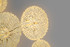 Signature Wall Light -THE COTERIE -A