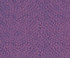 Asian Paints Spatula Texture Wall Paint Armada