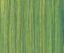 Asian Paints Torrent Texture Wall Paint summer yellow