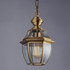 Signature Pendant Light - Hem of Happiness