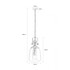 Signature Pendant Light - The Lantern of Venus