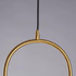 Signature Pendant Light - The Celesta Oblong
