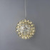 Signature Pendant Light - The Entice-B