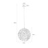 Signature Pendant Light - The Entice-B