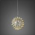 Signature Pendant Light - The Entice-B