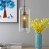 Elegant Series - Capsule Pendent Light