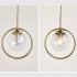 Elegant Series - Ring Hanging Light