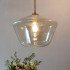 Elegant Series - Sculpture Pendent Light