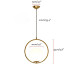 Elegant Series - O Hanging Light