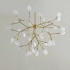 Elegance Series - Branch Chandelier