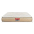 Kurlon Desire Top 8inch Spring Mattresses