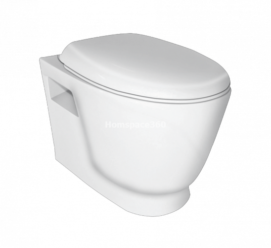 Hindware DOME 92517 P-Trap Wall Mounted Closet