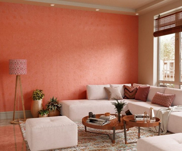 Asian Paints Spiral Texture Wall Paint Carrot Punch