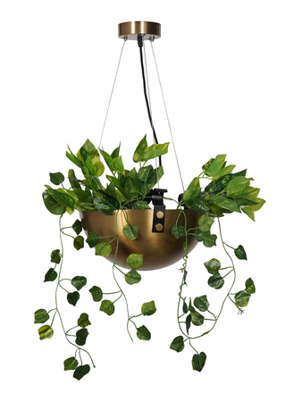 Online India Home Interior Luxury Decorative Fancy Light - Emerald Pendant Light - Planter Bowl Hanging Pendant Light in Antique Brass Finish