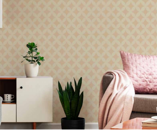 Asian Paints Diamente Dust Stencil Wall Paint Exotic Spice