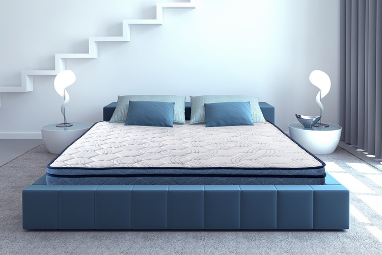 Kurlon Spine Therapy 6inch Foam Mattresses
