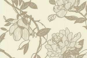Wall Papers